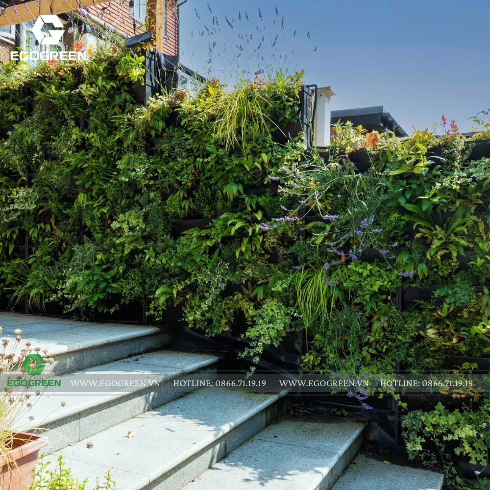 Vườn đứng giúp tận dụng tối đa không gian mà vẫn duy trì được mảng xanh lớn.